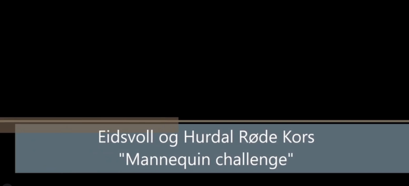 ARTIGE MINNER - Mannequin challenge